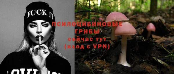 соль курить ск Алзамай