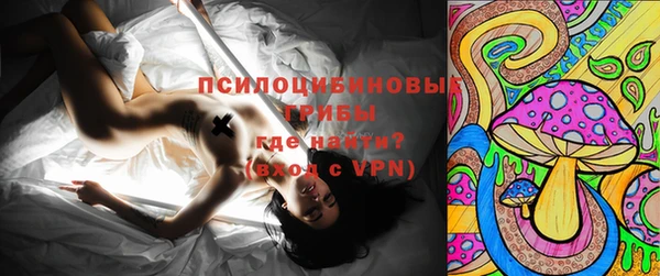 дурь Алексеевка