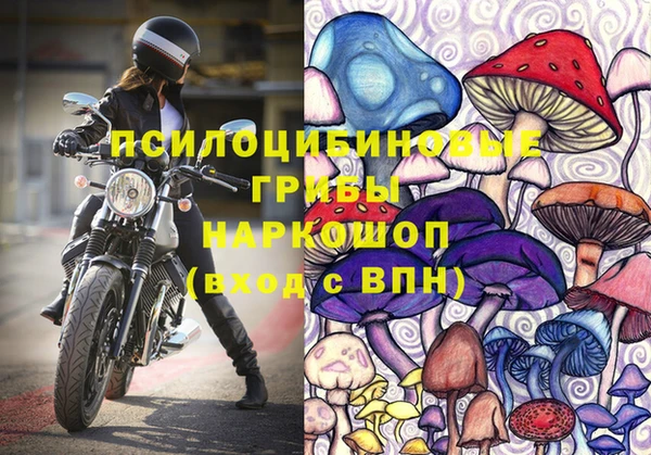 дурь Алексеевка